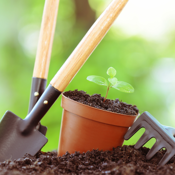 Garden landscaping image