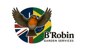 B'Robin
